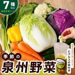 ふるさと納税 季節の泉州野菜セット 7種 大阪府泉佐野市