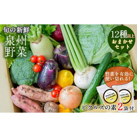 ふるさと納税 季節の泉州野菜セット 12種 大阪府泉佐野市