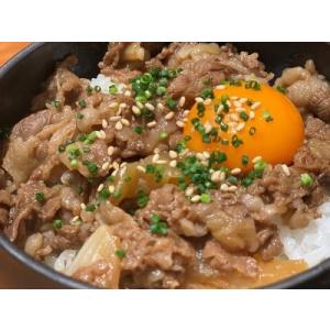 ふるさと納税 【神戸牛 牝】牛丼の素:125g×5食入 川岸畜産 (12-12)【冷凍】 兵庫県西脇...