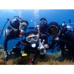 ふるさと納税 A47-003三浦半島城ヶ島の海で体験ダイビング  神奈川県三浦市