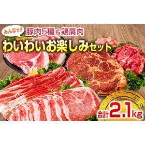 ふるさと納税 B118-20 豚肉5種＆鶏肩肉みんなでわいわいお楽しみセット(合計2.1kg)