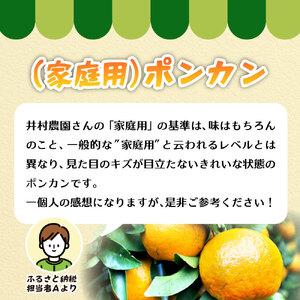 ふるさと納税 訳あり 家庭用 足摺ぽんかん 5...の詳細画像1