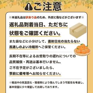 ふるさと納税 訳あり 家庭用 足摺ぽんかん 5...の詳細画像4