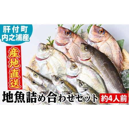 ふるさと納税 【A09002】地魚詰め合わせセット(約4人分) 鹿児島 国産 九州産 産直 産地直送...