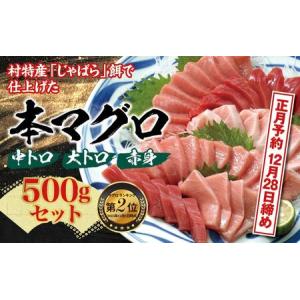 ふるさと納税 お正月に間に合う！本マグロ（養殖）トロ＆赤身セット500g