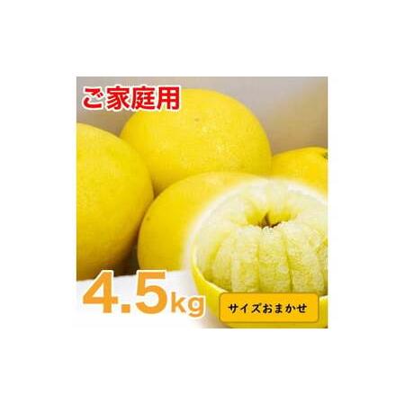 ふるさと納税 生産者直送　土佐文旦　4.5kg　[サイズおまかせ　2L〜4L]　家庭用 文旦 柑橘 ...