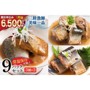 ふるさと納税 三陸漁師美味一品ギフト3種9パック（さんま生姜煮