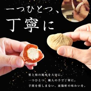 ふるさと納税 <老舗 くり屋南陽軒> 「栗きん...の詳細画像3