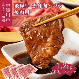 ふるさと納税 「肉の芸術品」飛騨牛焼肉用400g×3パック 焼肉 バーベキュー F4N-0621 岐阜県中津川市