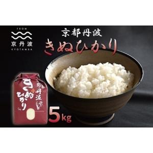 ふるさと納税 京丹波町 京丹波こしひかり 10kg 令和8年産 京都 米 精米