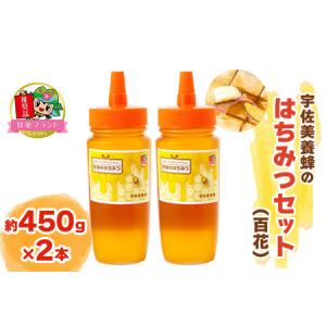 ふるさと納税 宇佐美養蜂のはちみつセット (百花) 450g×2本｜期間限定 国産 純粋はちみつ 蜂蜜 ハチミツ 無添加 とんがり容器 ボトル セッ.. 群馬県甘楽町｜furunavi