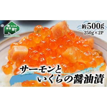 ふるさと納税 サーモンと いくらの醤油漬 約500g（250g×2パック） ＜ワイエスフーズ＞ いく...