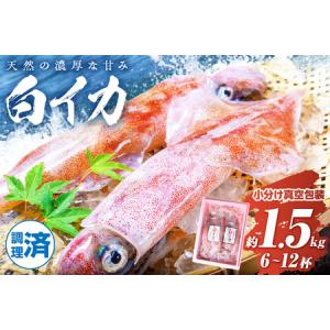 ふるさと納税 イカ・イカ焼き用「冷凍」／BBQに最適！ ...