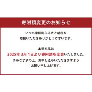 ふるさと納税 aibo 自律型エンターテインメ...の詳細画像2