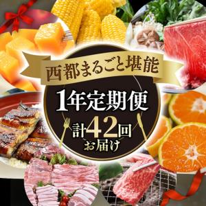 ふるさと納税 【季節の定期便G】12ヶ月毎月届く...の商品画像