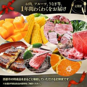 ふるさと納税 【季節の定期便G】12ヶ月毎月届...の詳細画像3
