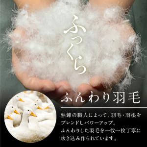 ふるさと納税 プレミアム 羽毛布団 1枚 シン...の詳細画像3