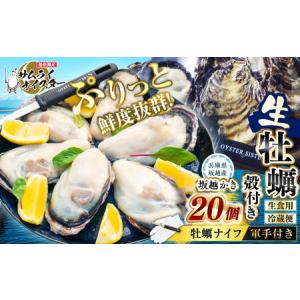 ふるさと納税 牡蠣 生食 坂越かき 殻付き28個 牡蠣ナイフ・軍手付き