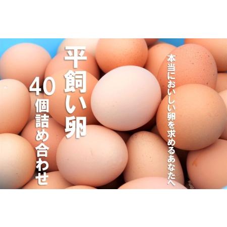 ふるさと納税 平飼い卵詰め合わせ！40個セット 島根県海士町