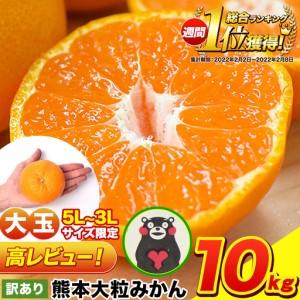 ふるさと納税 みかん 訳あり 大粒 ミカン 10kg 10キロ 熊本 ちょっと 訳あり みかん 傷 5L〜3Lサイズ 約10kg たっぷり 熊本県 期間限定 フルーツ.. 熊本県長洲町