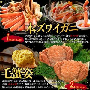 ふるさと納税 北海道なまらうめぇ 頒布会 タラ...の詳細画像2