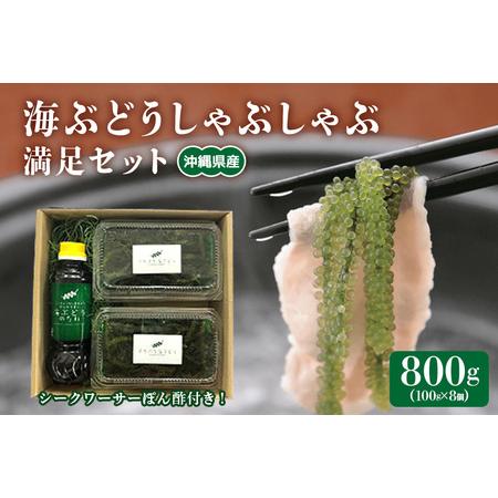 ふるさと納税 海ぶどうしゃぶしゃぶ　満足セット 沖縄県糸満市