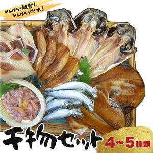 ふるさと納税 季節の魚を干物に！ギフトにもどうぞ 季節の干物セットA 石川県穴水町