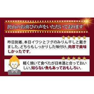 ふるさと納税 季節の干物おまかせ4種セット |...の詳細画像1