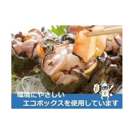 ふるさと納税 周防大島産のべっぴんさざえ【天然活・刺身用大サイズ】10個 山口県周防大島町