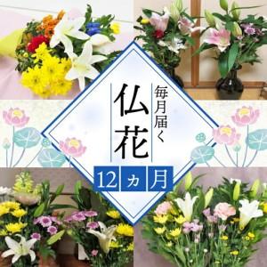 ふるさと納税 定期便 12回 仏花 お花 生花 組花 2束 | 静岡県藤枝市