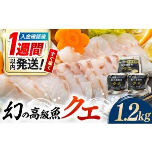 ふるさと納税 【1週間以内発送】対馬産 幻の高級魚 クエ 1.2kg 海鮮 魚介 鍋 高級 [WAA014] スピード発送 最速発送 最短発送 長崎県対馬市