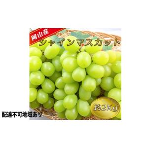 アイテムID:346413の画像1枚目