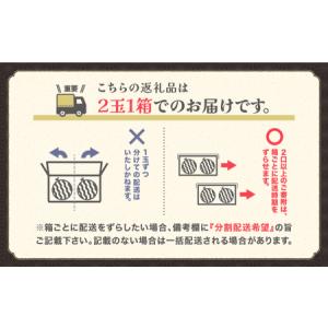 ふるさと納税 尾花沢産スイカ すいか 4Lサイ...の詳細画像2