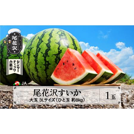 ふるさと納税 先行予約 すいか スイカ 尾花沢すいか 3Lサイズ 約8kg×1玉 7月下旬〜8月10...