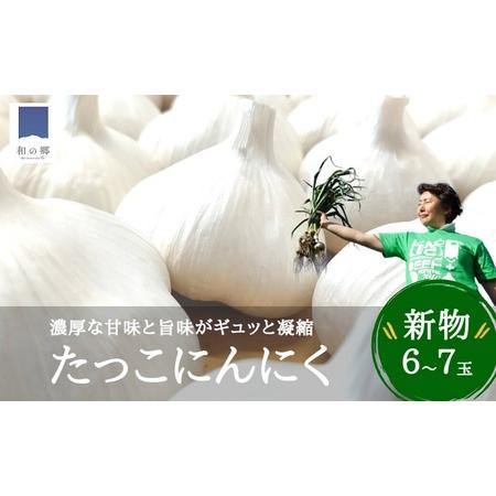 ふるさと納税 【9月出荷】令和6年産　新物　日本一田子にんにく・6〜7玉（ 青森県田子町産にんにくL...