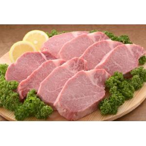 ふるさと納税 【全10回】佐賀牛 ヒレ ステーキ 定期便 総計14.4kg 999-J414 佐賀県伊万里市
