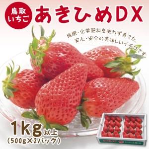 ふるさと納税 【0533】あきひめDX 1kg【鳥取いちご】(とみハウス) 鳥取県鳥取市