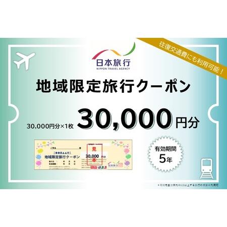 ふるさと納税 日本旅行 地域限定旅行クーポン【30,000円分】 ツアー 宿泊 旅行 交通 5年 ト...