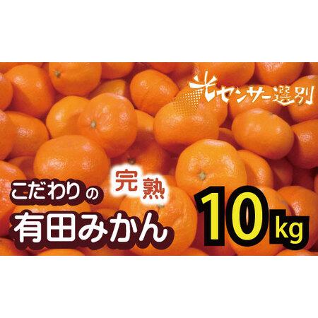 ふるさと納税 【2024年12月発送予約分】【農家直送】【家庭用】こだわりの有田みかん 約10kg＋...