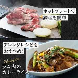 ふるさと納税 特撰 生ラム (冷凍)タレ付 6...の詳細画像2
