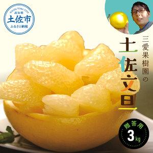 ふるさと納税 【先行予約】三愛果樹園の土佐文旦　贈答用　約3kg / 土佐文旦 みかん 柑橘 ぶんたん ブンタン 果物 フルーツ 〈2027年2月上旬から.. 高知県土佐市