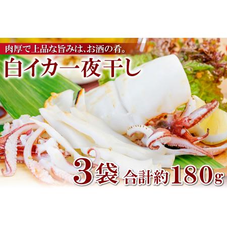 ふるさと納税 「釣りものケンサキイカに厳選」白いか一夜干（3枚入）【いか一夜干し 白いか 干物 60...
