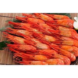 ふるさと納税 北海シマエビ500g(32〜46尾)×2P(計1kg) B-81003