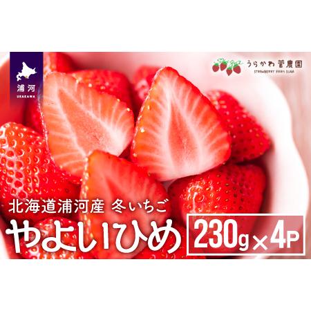 ふるさと納税 【今が旬！】北海道浦河産いちご「やよいひめ」230g×4P[13-883] 北海道浦河...