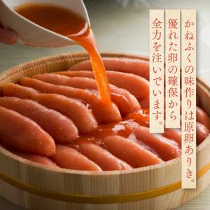 ふるさと納税 明太もつ鍋 3〜4人前 かねふく...の詳細画像2