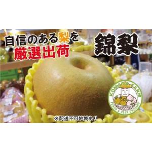 ふるさと納税 梨 約5kg なし ナシ フルーツ 果物 デザート 2024年発送 小俣果樹園 配送不可:離島 熊本県錦町