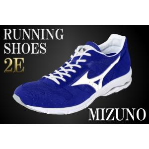 ふるさと納税 AO10　ミズノランニングシューズ【ブルー×パールホワイト2E】　【 ジョギング ランニング マラソン シューズ 靴 ミズノ mizun.. 兵庫県宍粟市