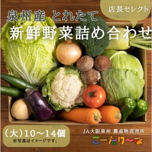 ふるさと納税 JA大阪泉州 直売所店長セレクト ...の商品画像