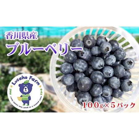 ふるさと納税 Lucaho  Farm ブルーベリー（発送6月〜） 香川県東かがわ市