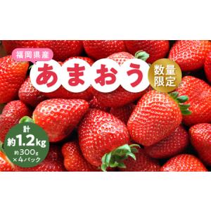 ふるさと納税 【数量限定】2026年2月より順次発送 福岡県産あまおう4パック_いちご 苺 イチゴ フルーツ 果物 くだもの ふるーつ 青果 産直 産.. 福岡県大野城市